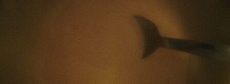 коктейль из морепродуктов с розовым соусом. Шаг 5