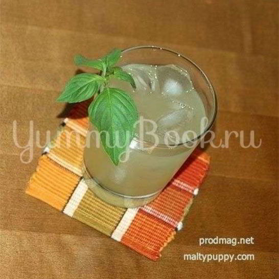 Рецепт джина с базиликом