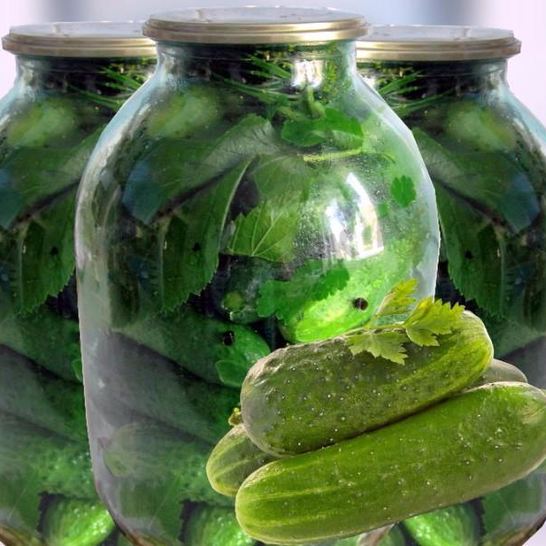 Рецепт консервированных малосольных хрустящих огурцов с водкой