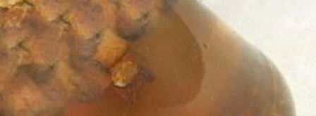 домашний квас без дрожжей. Шаг 5