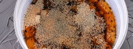 хлебный квас из березового сока. Шаг 8