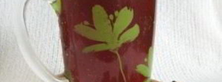 квас из бородинского хлеба без дрожжей. Шаг 9