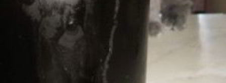 квас из концентрата. Шаг 7