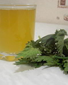 Квас из крапивы