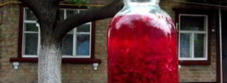 квас из красной свеклы. Шаг 4