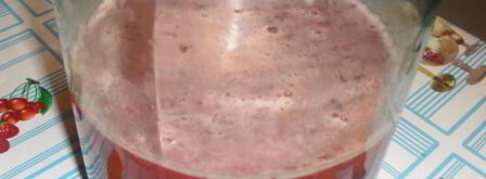 клюквенно-апельсиновый ликер. Шаг 7