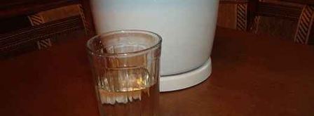 ликер дикое молоко бешеной коровки. Шаг 11