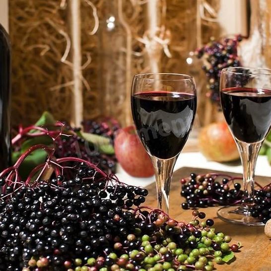 Рецепт ликера из бузины