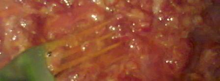 ликер королевский. Шаг 13