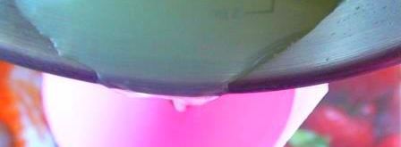 лимонный ликер. Шаг 7