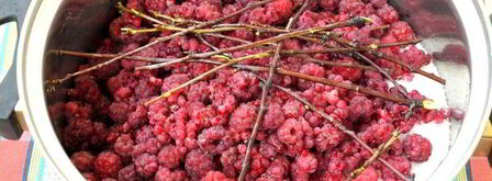 малиновый ликер. Шаг 3