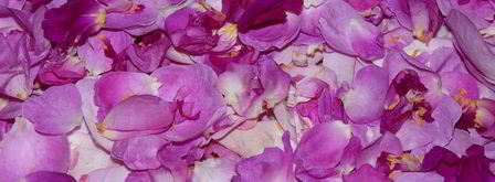 розовый ликер. Шаг 3