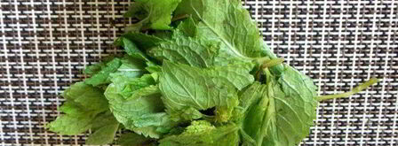 лимонад дерзкая мята. Шаг 5