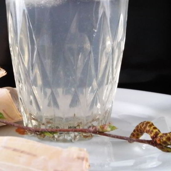 Рецепт лимонада из березового сока