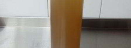 лимонад из тархуна и облепихи. Шаг 7