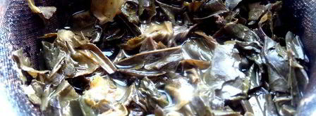 лимонад из зеленого чая. Шаг 5