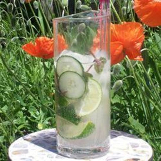 Рецепт мохито с мятой и свежим огурцом