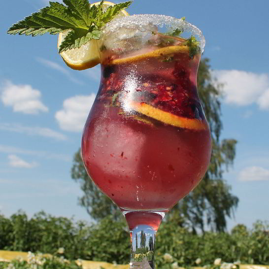 Рецепт мохито со смородиной и мятой