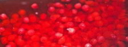 брусничный морс с медом. Шаг 5