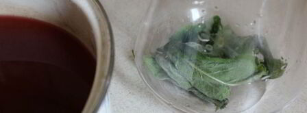 калиновый морс с мятой. Шаг 7