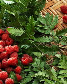 Малиновый морс