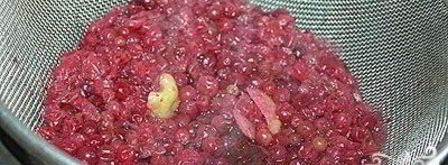 морс из брусники. Шаг 5