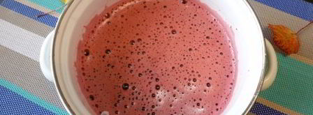 морс из черноплодной рябины. Шаг 7