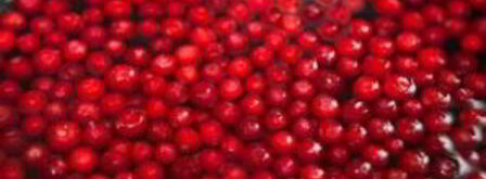 морс из замороженных ягод. Шаг 4