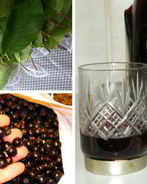 Наливка 100 листьев