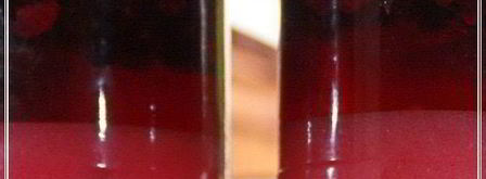 наливка черносмородиновая. Шаг 12