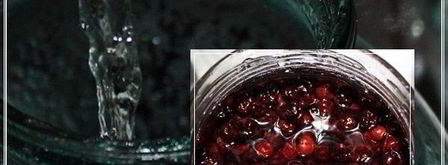 наливка черносмородиновая. Шаг 14