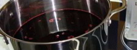 наливка из черноплодной рябины. Шаг 8