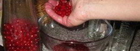 наливка из калины. Шаг 3