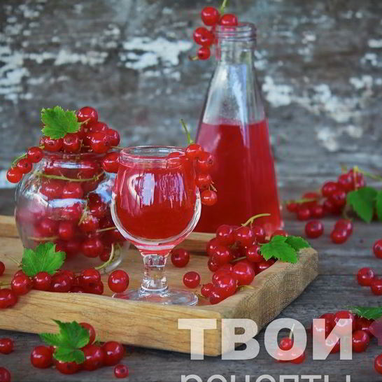 Рецепт наливки из красной смородины