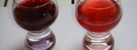 наливка из крыжовника и черной смородины. Шаг 10