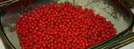 рябиновая наливка. Шаг 9