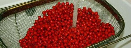 рябиновая наливка. Шаг 12