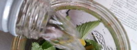 мятная настойка. Шаг 3