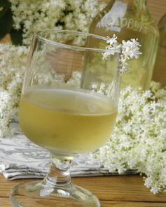 Настойка из бузины