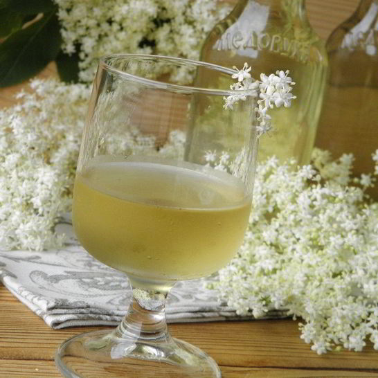 Рецепт настойки из бузины