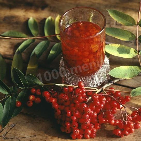 Рецепт настойки из красной рябины