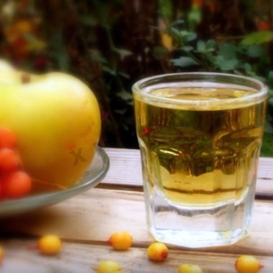 Рецепт настойки из облепихи