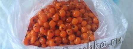 настойка из рябины. Шаг 8