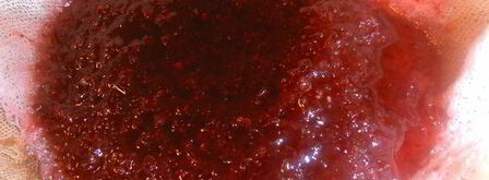 настойка клюковка. Шаг 8