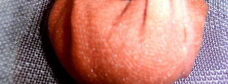 настойка клюковка. Шаг 9