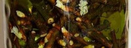 настойка на смородиновых почках. Шаг 35