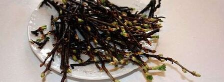 настойка на смородиновых почках. Шаг 11