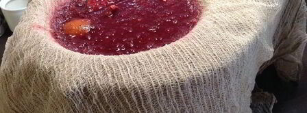 настойка несмеяновка женская. Шаг 7