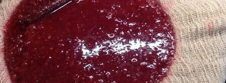 настойка несмеяновка женская. Шаг 8