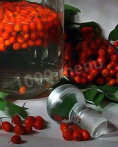 Рябиновая настойка из рябины на водке